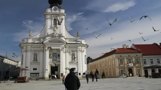 Najlepsze atrakcje w okolicy Wadowic, które musisz zobaczyć